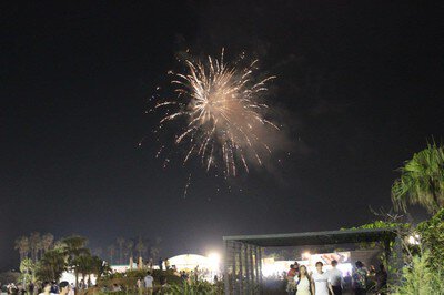 みやざき青島国際ビールまつり 画像(5/5)
