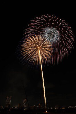 江戸川区花火大会 画像(4/5) (画像は第48回のもの)