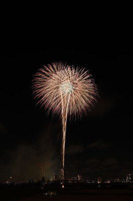 江戸川区花火大会 画像(5/5) (画像は第48回のもの)