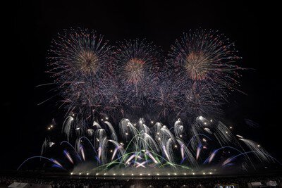大曲の花火－春の章－「新作花火コレクション/世界の花火 日本の花火」 画像(5/5)