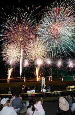 観客を魅了する色とりどりの花火ショー
