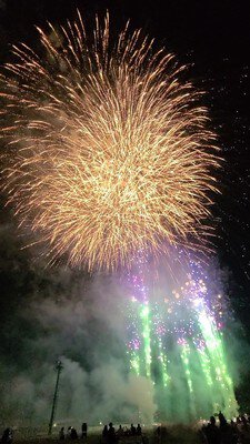 色とりどりの光が夜を照らす