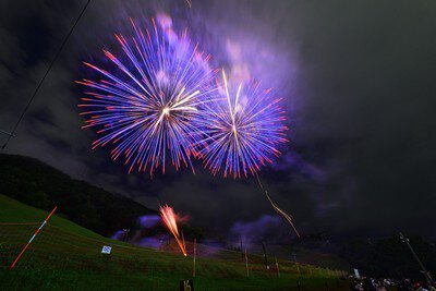 青紫に輝く幻想的な花火が夜空に咲く