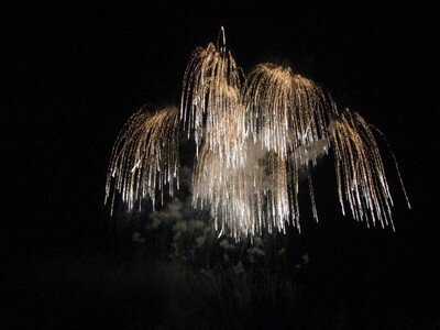 夜空に咲く華やかな花火がしだれ咲きに広がる