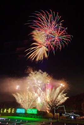カラフルな演出が夜空に花開く幻想ショー(画像はイメージ)