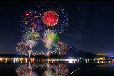 面に映える鮮やかな夏の華