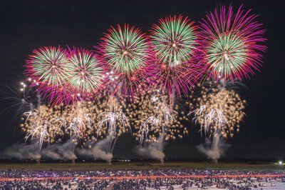秋の夜空を彩るこうのす花火大会の大輪