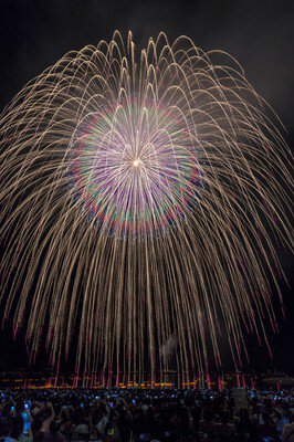 夜空を覆う大輪の花が圧巻
