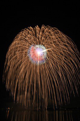 黄金色の光が夜空に降り注ぐ大輪の花火