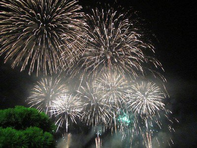 淡路島まつり花火大会 画像(2/4)