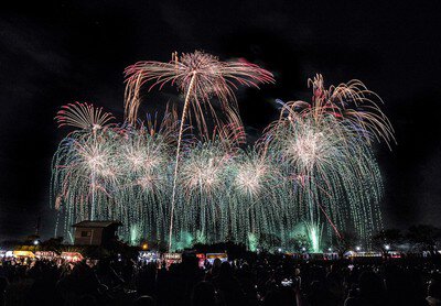 優雅に垂れる光が幻想的な雰囲気を演出