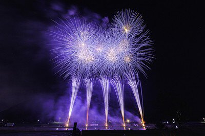 紫の輝きが幻想的な雰囲気を演出