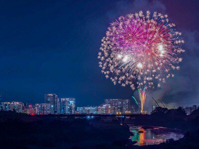 夜空に咲く大輪の花