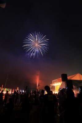 青い閃光が夜空に広がるクライマックスシーン
