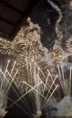 豊浜花火大会 画像(4/4)