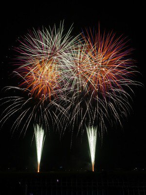 色鮮やかな花火が夜空いっぱいに広がる