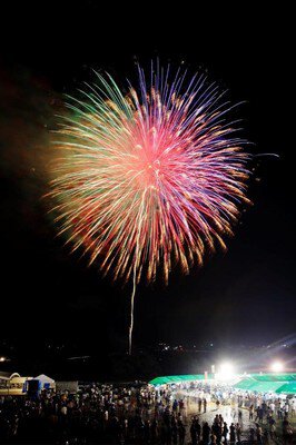 多彩な色彩で夜空を彩る大玉花火