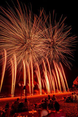 赤と金の花火が夜空に咲く