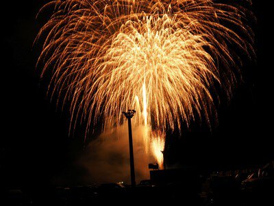夜空に広がる黄金の大輪が圧巻