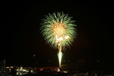月夜に咲く幻想的な緑の光の華