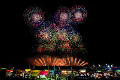 多彩な花火が夜空に咲く