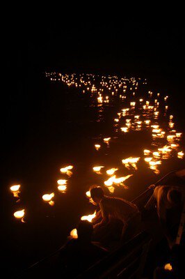 千代田の祭 川せがき 画像(5/5)