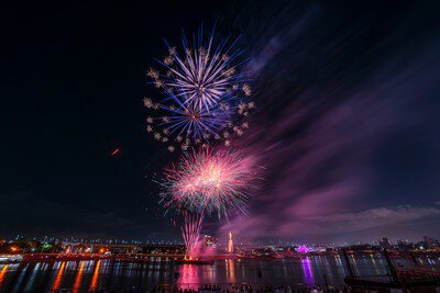 夜空を彩る青と紫の幻想的な大輪の競演