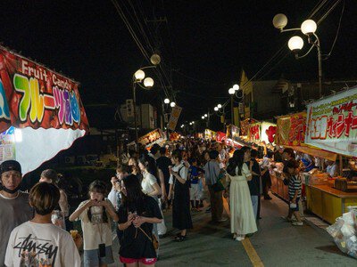 芦野聖天花火大会 画像(3/5)