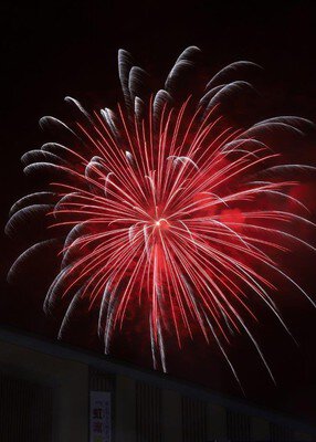 鮮烈な赤が夜空に広がる大輪の花火