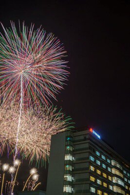 丸子中央病院 花火大会 画像(3/5)