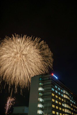 丸子中央病院 花火大会 画像(5/5)