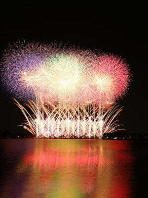 鮮やかな花火が夜空を舞う幻想的な瞬間