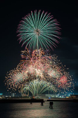 夜空いっぱいに広がる大輪の華
