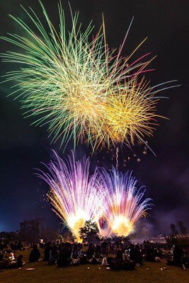 芝生に広がる光の大輪に歓声
