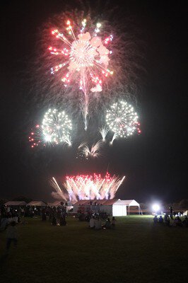 満天の夜空を彩る大輪の花火