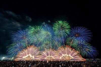 青と緑の牡丹が爽やかに咲き誇る幻想的な一幕