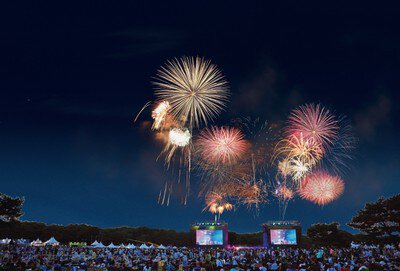 音楽と連動する花火が夜空を演出