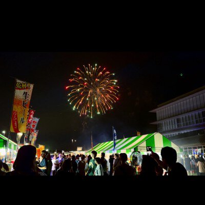 夏祭りshimotsuke(下野) 花火大会 色とりどりの花火と屋台が彩る夏の夜