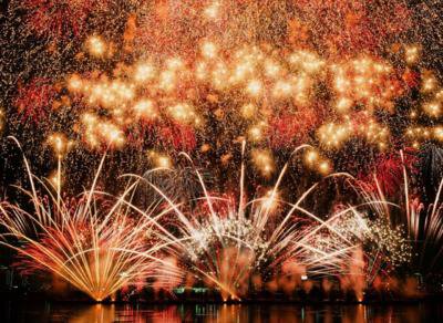 第38回 なにわ淀川花火大会 花火が雨のように視界全体に降り注ぐ
