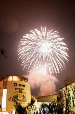 =さくら市市制20周年=さくら市きれつ川花火大会2025 フィナーレを飾る尺玉とスターマインのコラボは大迫力