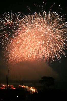 市民祭宿毛まつり2025 夜空を埋め尽くす黄金の大輪