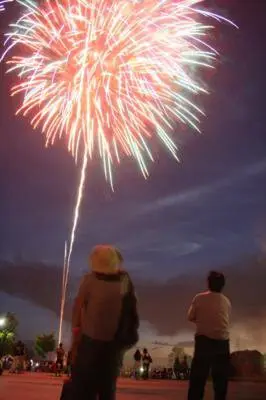 제46회 작은 고장 만들기 '칠석의 저녁' 불꽃축제 - 축제의 피날레를 장식하는 선명한 불꽃이 밤하늘을 비춘다