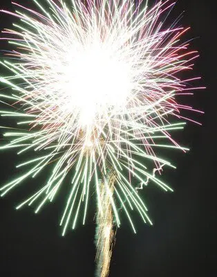 Large blooms blooming directly overhead with striking streaks of light