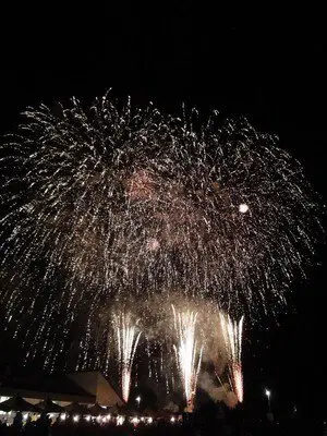 Large blooms of fireworks in the night sky are breathtaking