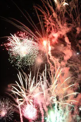 Fireworks with vivid colors that color the night sky