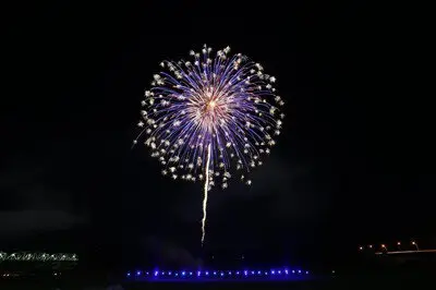 夜空に咲く丸い大輪の華やかな花火