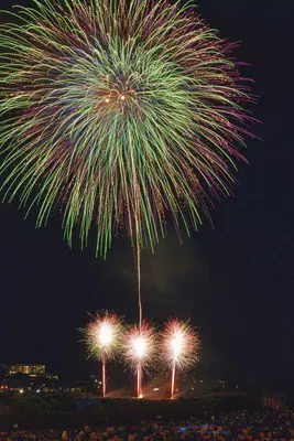 盛岡花火の祭典 画像(2/3)