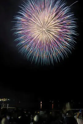 志津川湾夏まつり 画像(3/4)