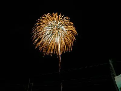 黄金の花火が夜空にくっきりと輝く