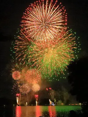 제66회 미토 코몬축제 미토 카이라쿠엔 불꽃축제 — 음악과 싱크로되는 특대 뮤직 스타마인은 대박력